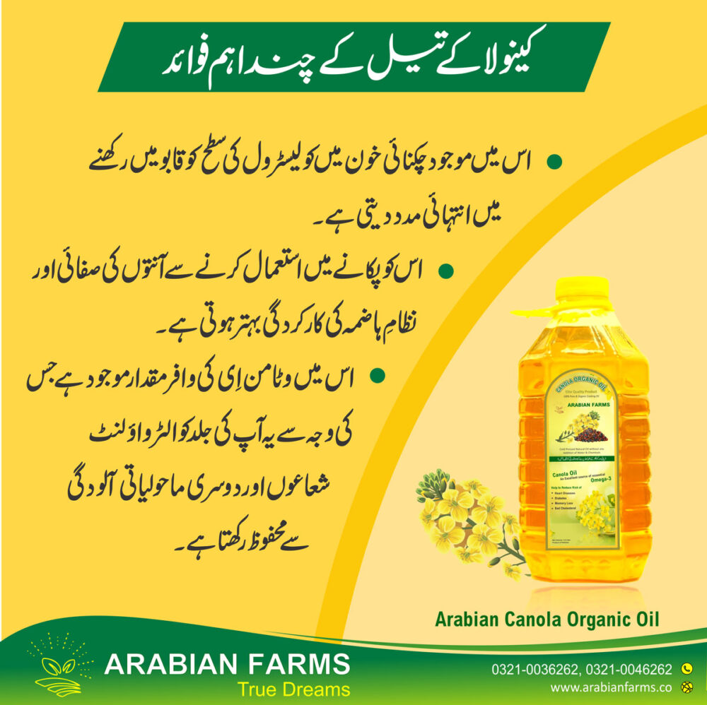 Arabian Canola Organic Oil - 5 Liter - Image 4